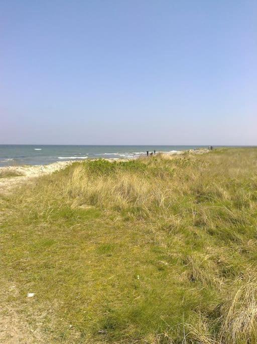 Erholung Auf Dem Land Zwischen Ostsee Und Schlei Stoltebull Exterior photo